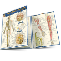 Nervous System Advanced Guide