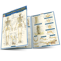 Skeletal System: Advanced Guide