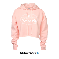 Schoolcraft Crop Hoodie