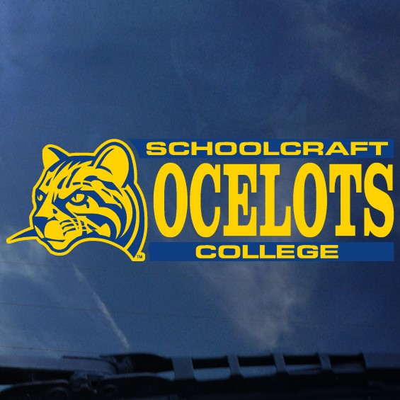 Ocelot Color Shock Decal (SKU 1030355925)
