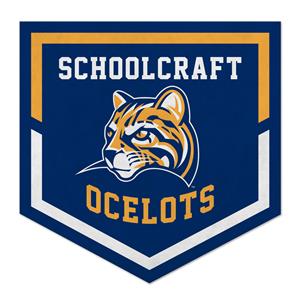 Sc Athletic Ocelots Rafter Banner
